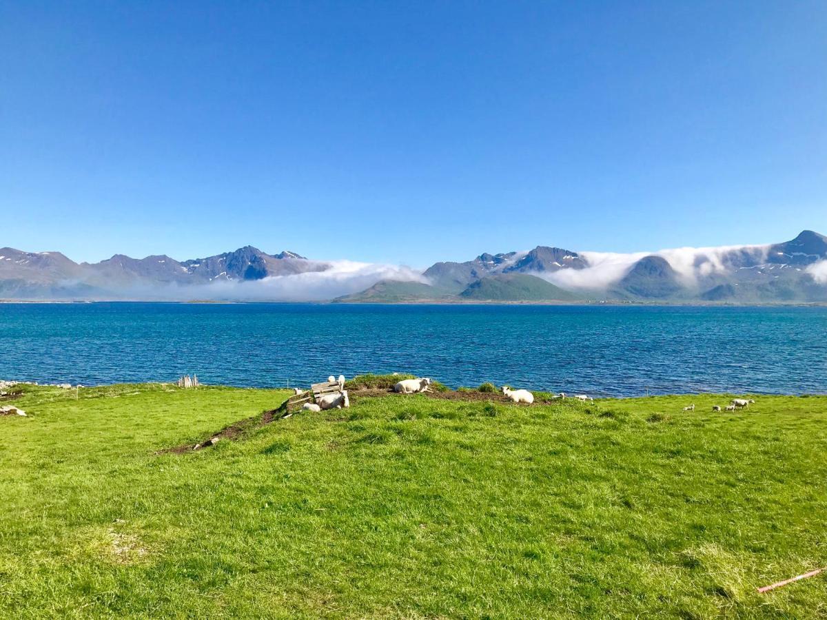 Lofoten Bay View Bostad Zewnętrze zdjęcie