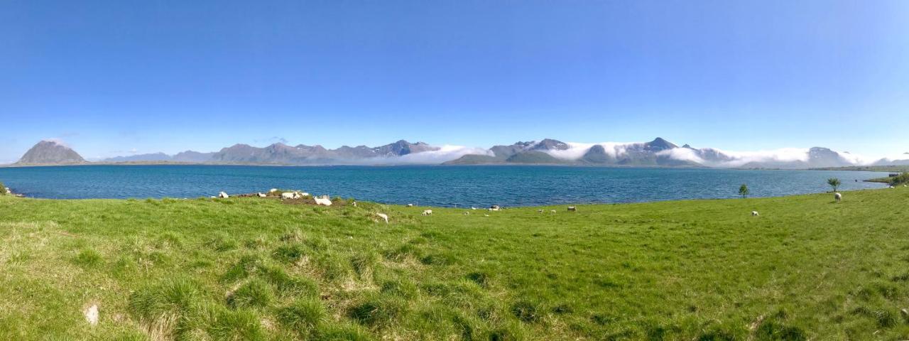 Lofoten Bay View Bostad Zewnętrze zdjęcie